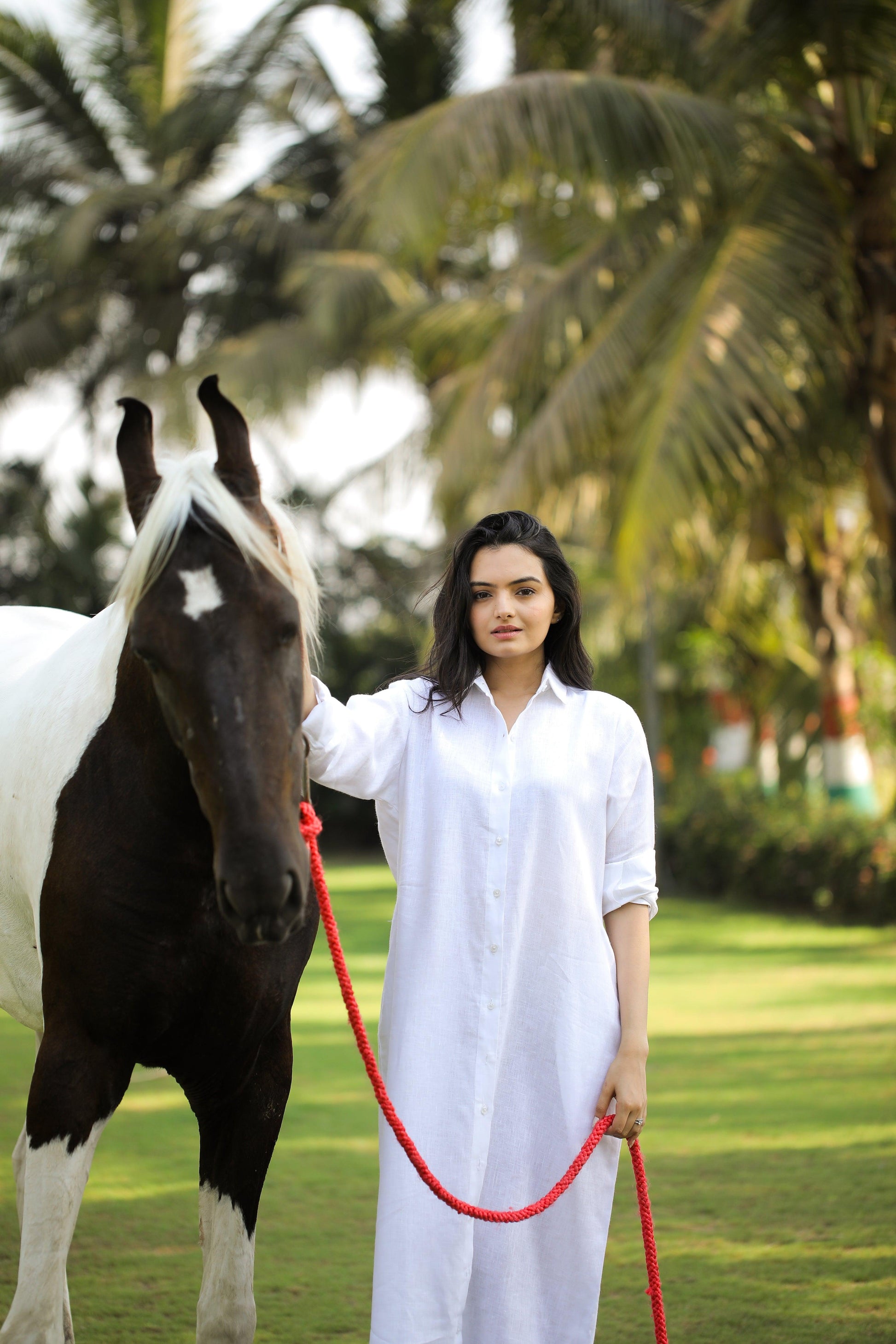 Pure linen Shirt dress - Kaapad